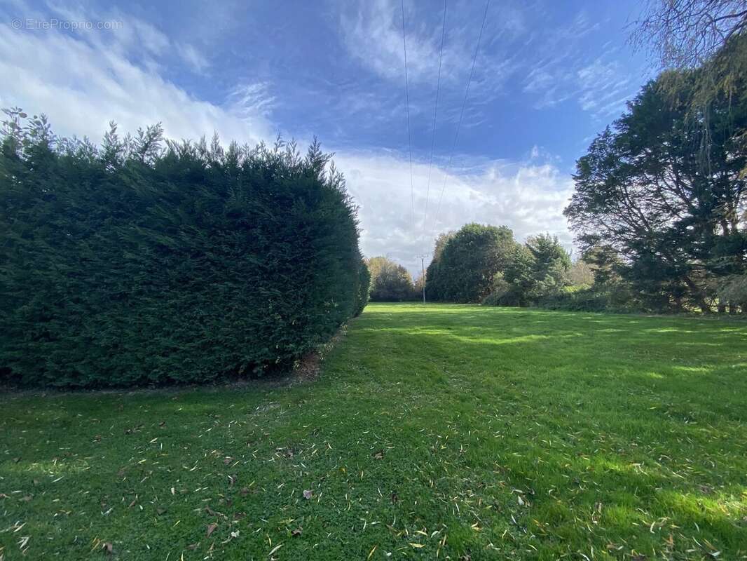 Maison à LE LION-D&#039;ANGERS