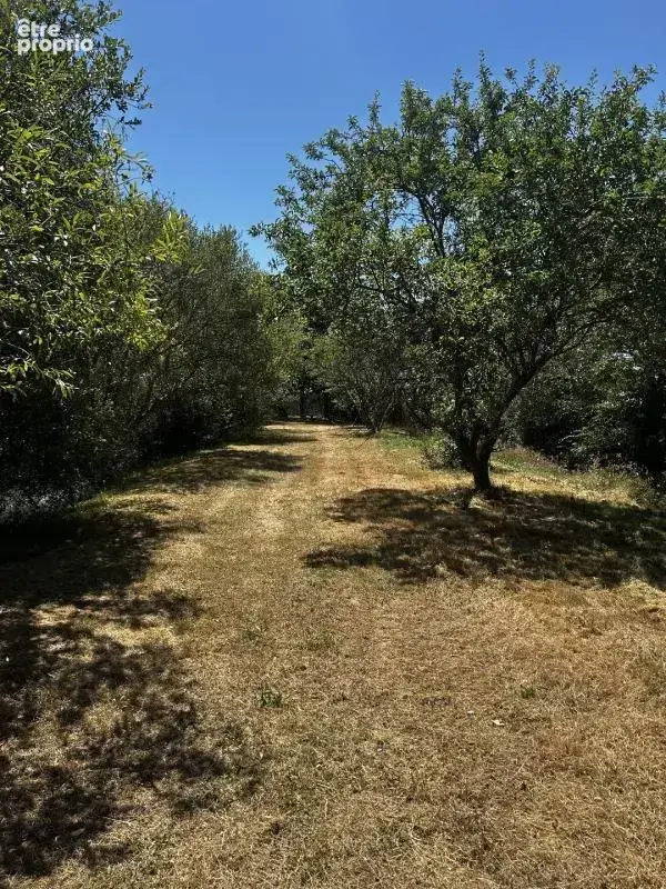 Maison 90 m² à Clere-Sur-Layon  - photo 12