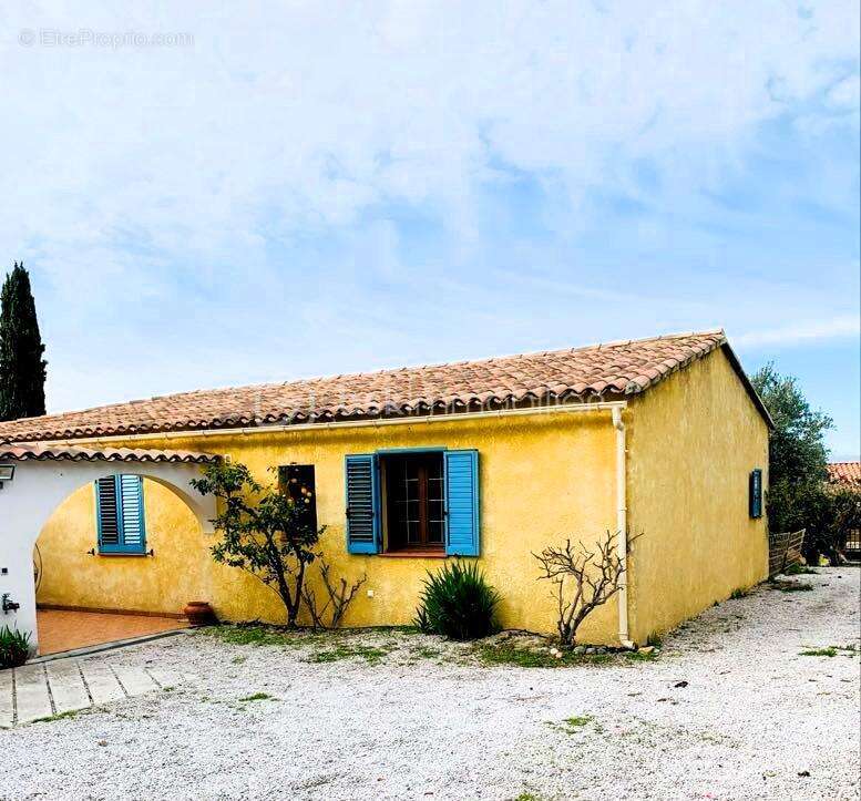 Villa, piscine et dependances en balagne - photo 19
