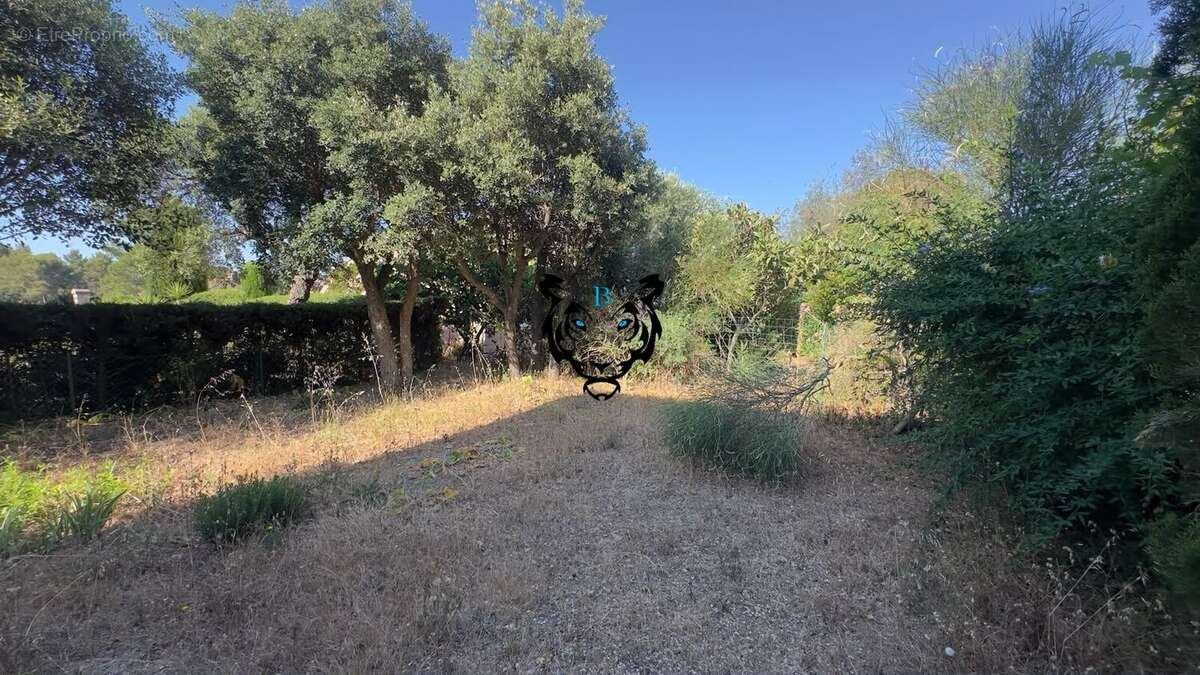 Maison à ROQUEBRUNE-SUR-ARGENS