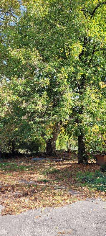 Maison à LAFRANCAISE