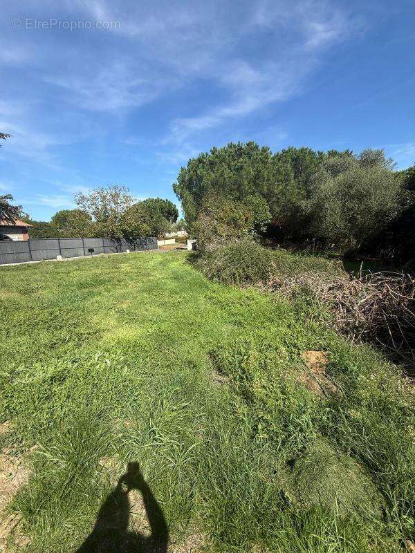 Terrain à TOURNEFEUILLE