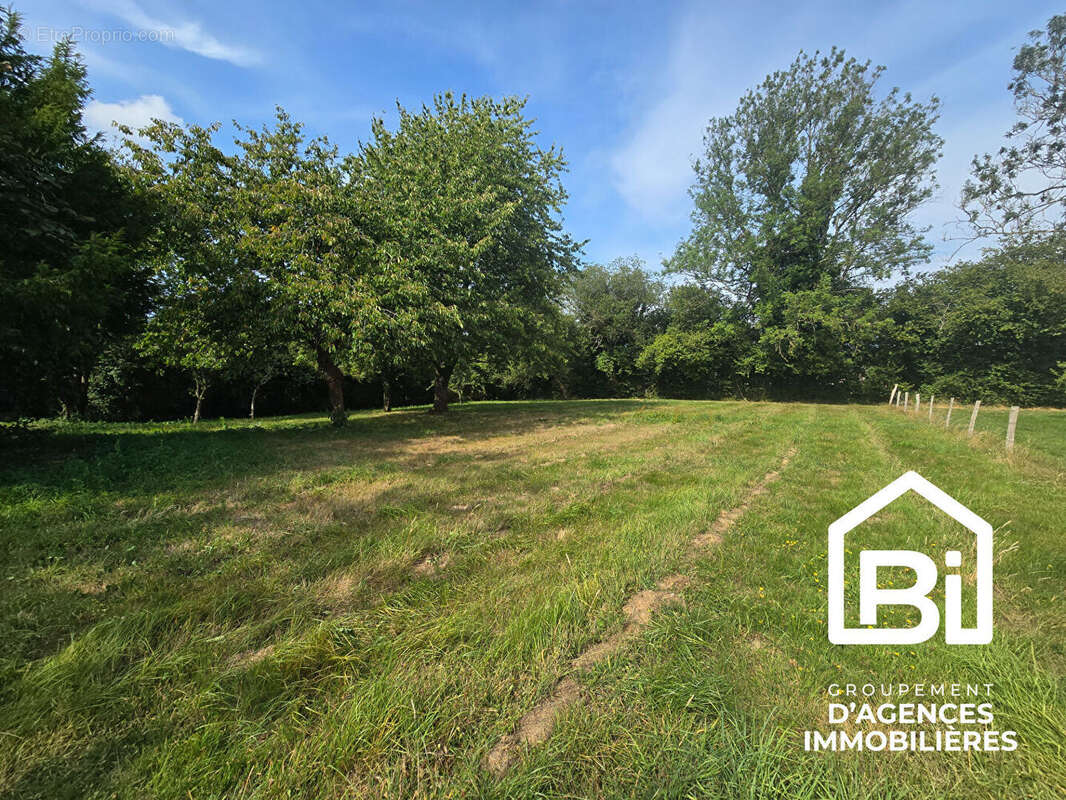 Valseme - terrain de plus de 1400 m² constructible - photo 3