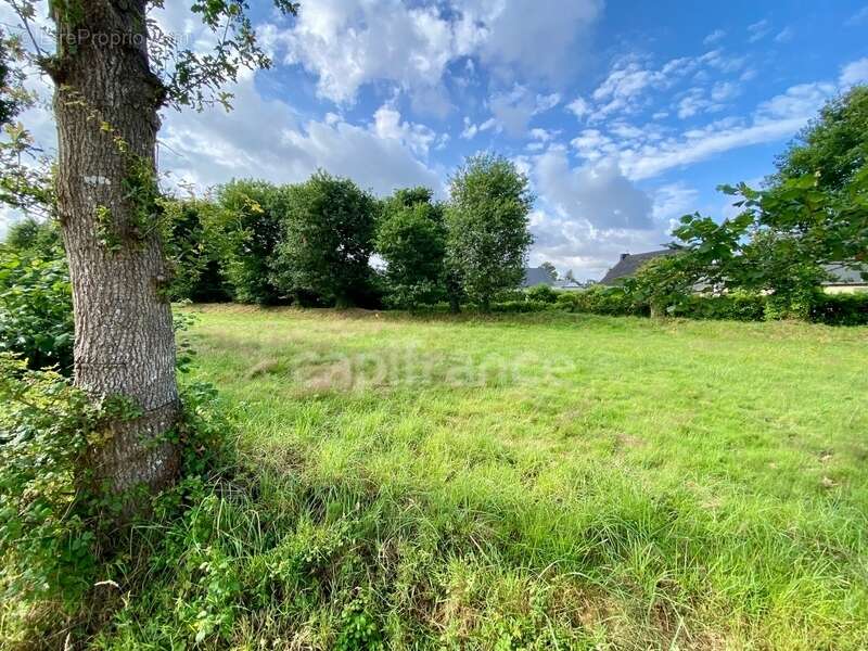 Terrain à LA TRINITE-SURZUR