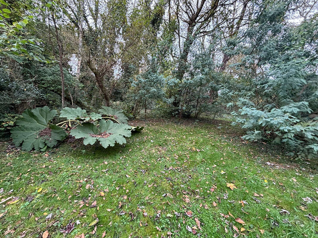 Maison à MOELAN-SUR-MER