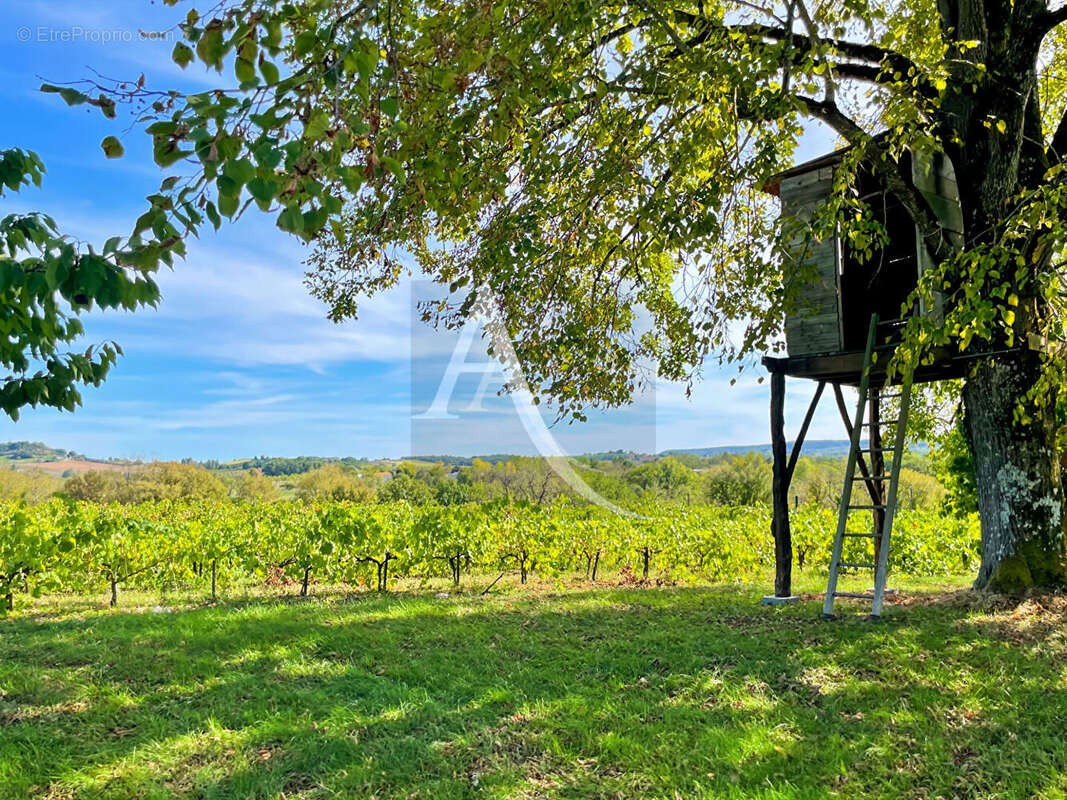 Authentique propriété en pierre avec piscine, dépendances et vignoble - photo 16