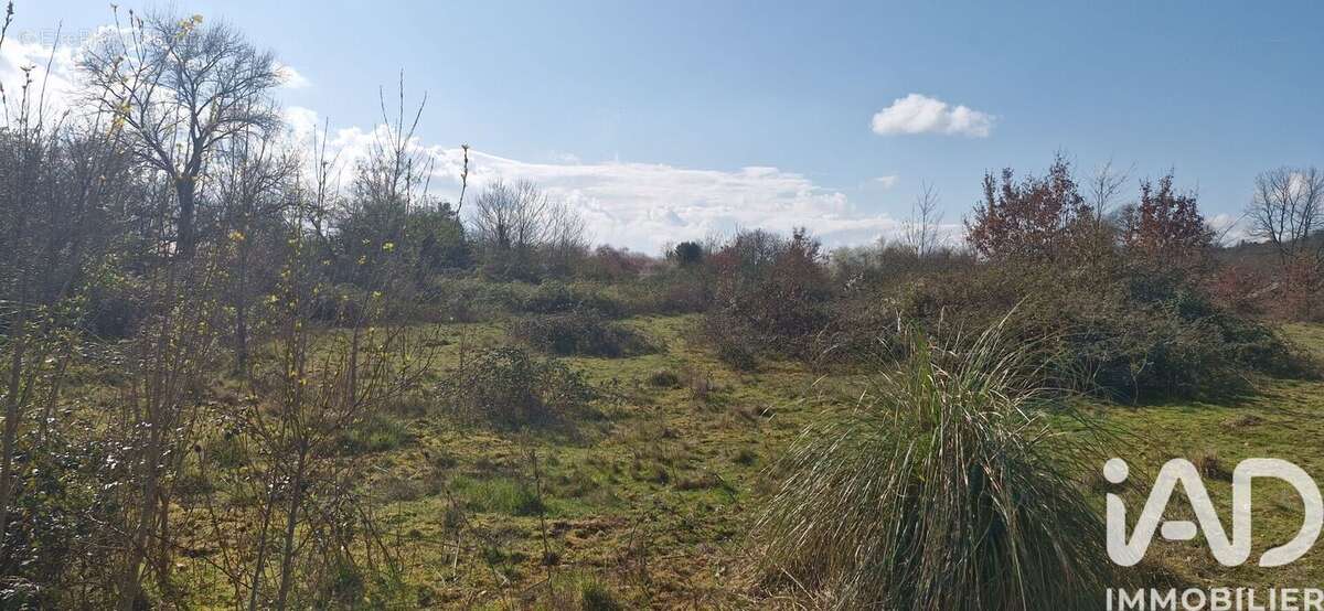 Photo 3 - Terrain à MONTCARET