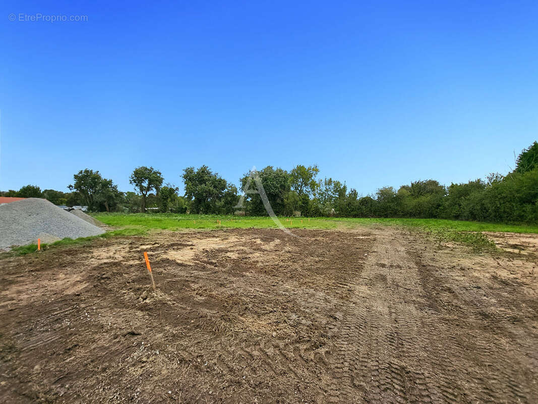 Terrain à NOTRE-DAME-DE-MONTS