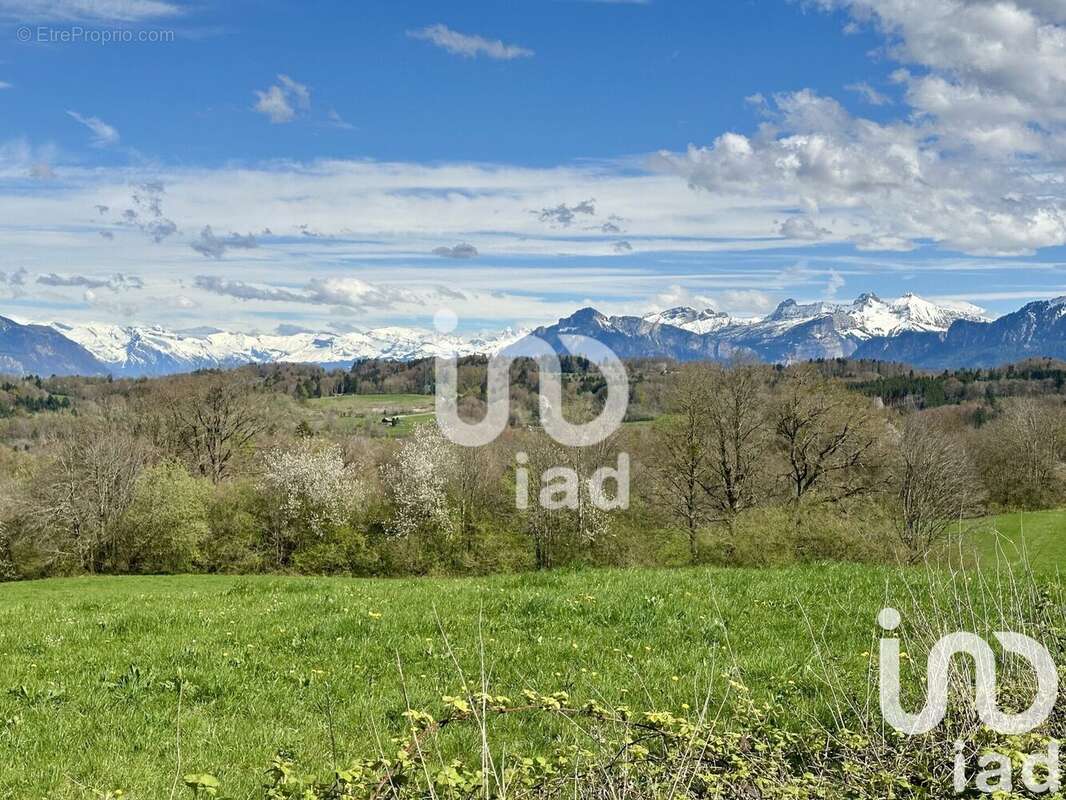 Photo 3 - Maison à ARBUSIGNY