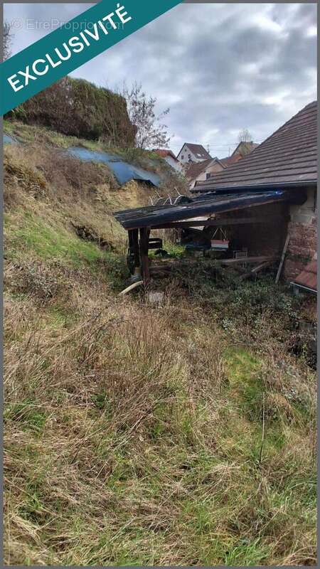 Photo 4 - Maison à NIEDERBRONN-LES-BAINS