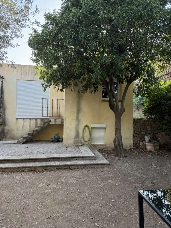 CALENZANA Village - Maison T3 avec jardinet - photo 9