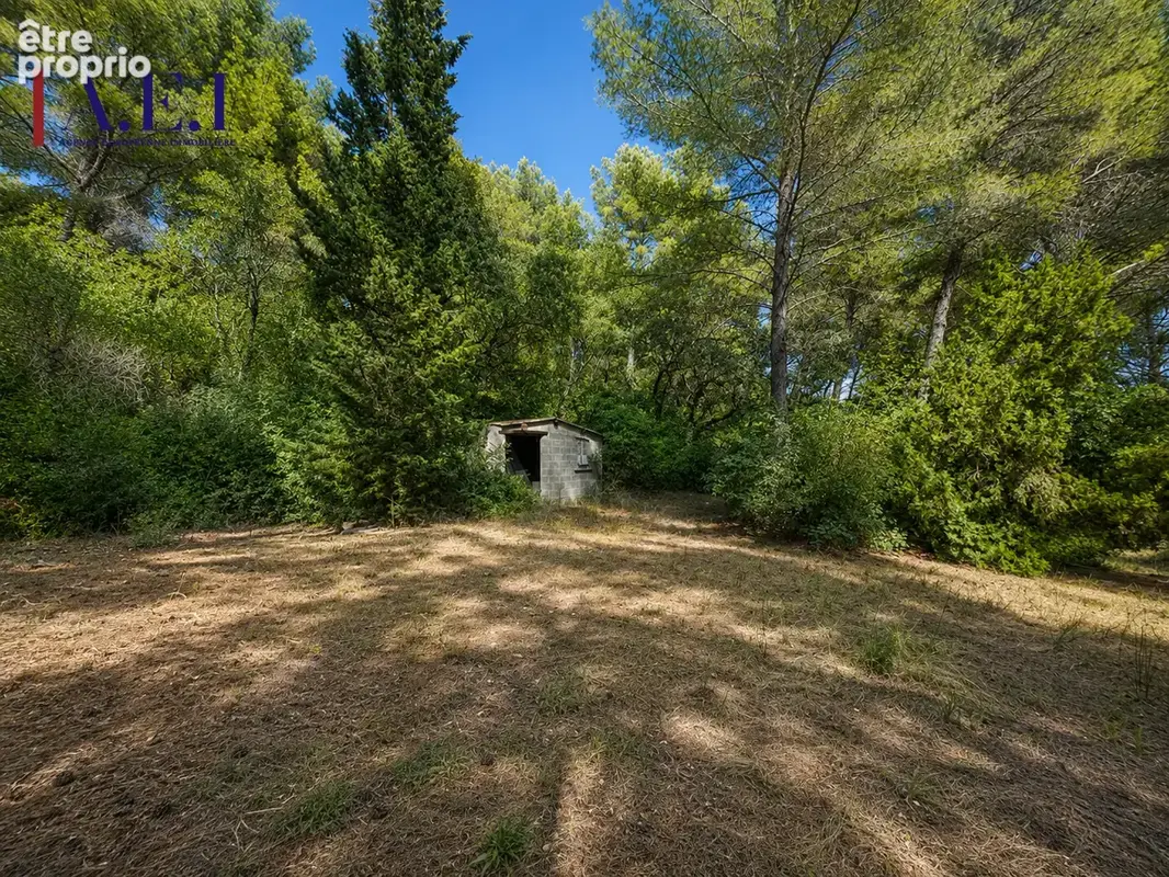 Six Fours les plages - Maison de 174 m2 habitables sur une parcelle de 5 744 m2 - photo 5