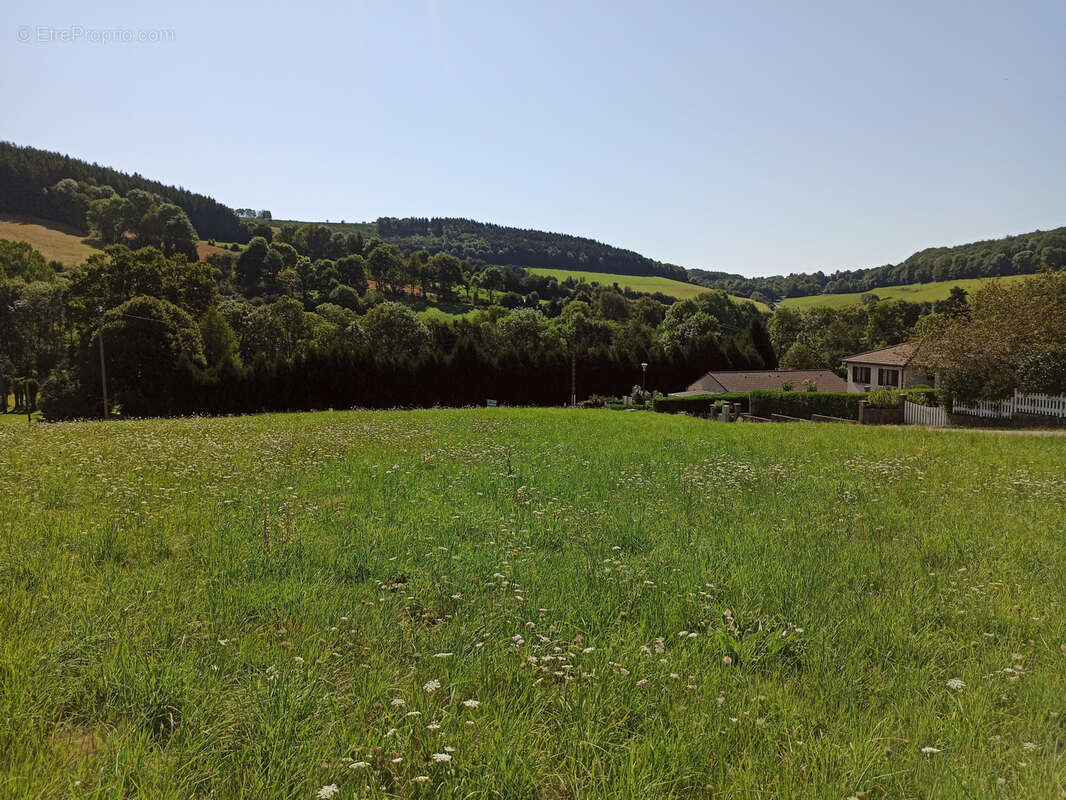 Terrain à LA SALVETAT-SUR-AGOUT