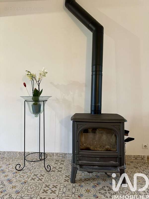 Photo 7 - Maison à CHATEAUNEUF-EN-THYMERAIS