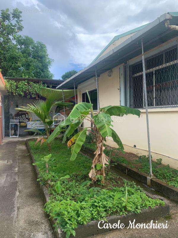 Maison à BASSE-TERRE