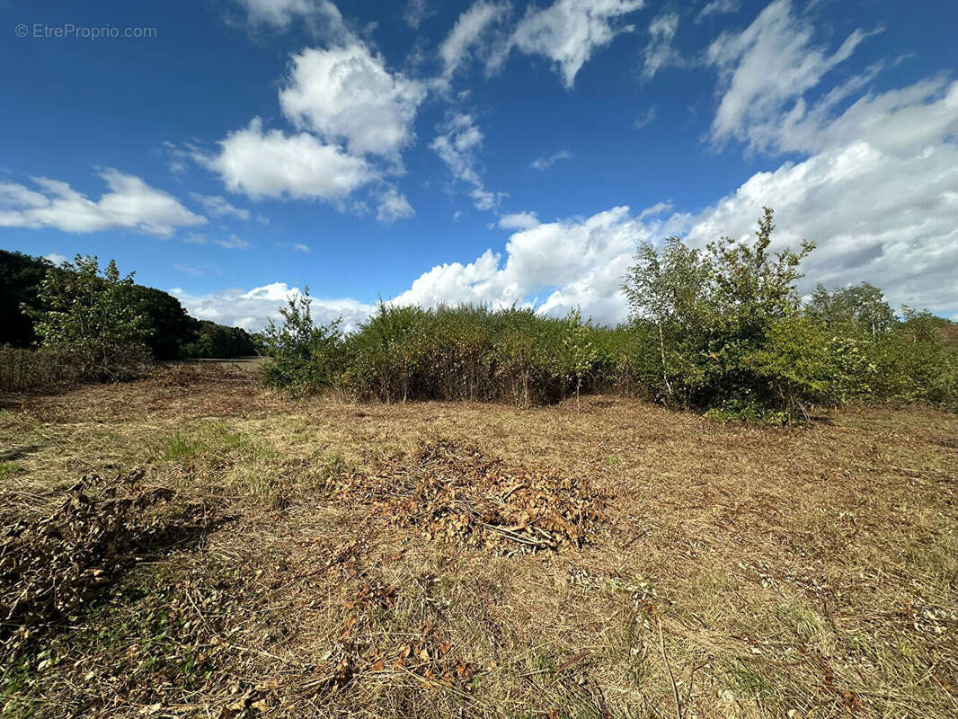 Terrain à MENNESSIS