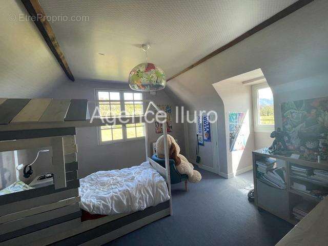 IMG_6823 - Maison à OLORON-SAINTE-MARIE