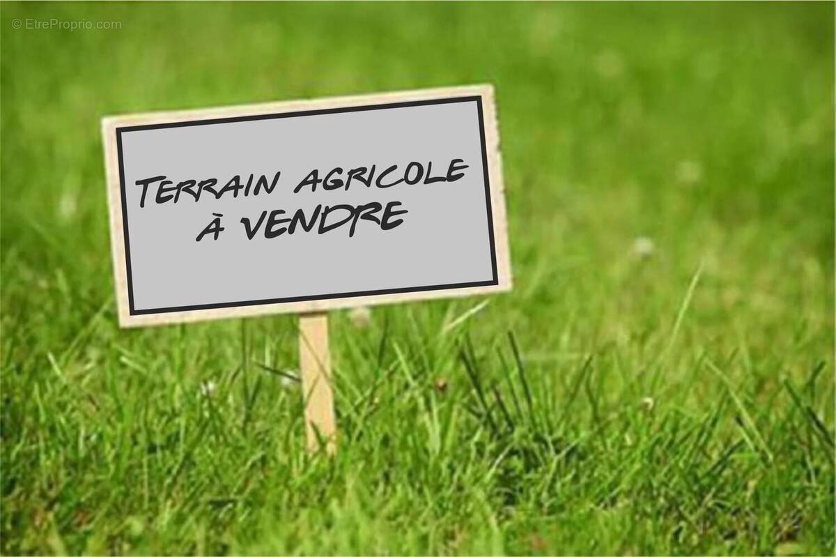 Terrain à AIGUEPERSE