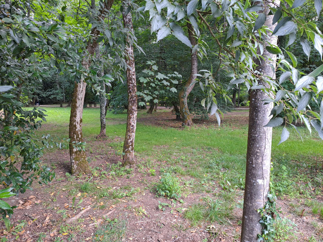Appartement à LEOGNAN