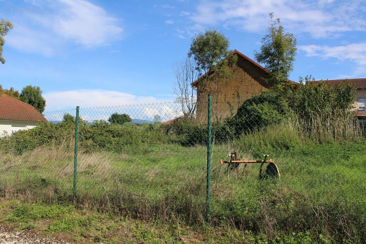 Parcelle constructible - photo 2