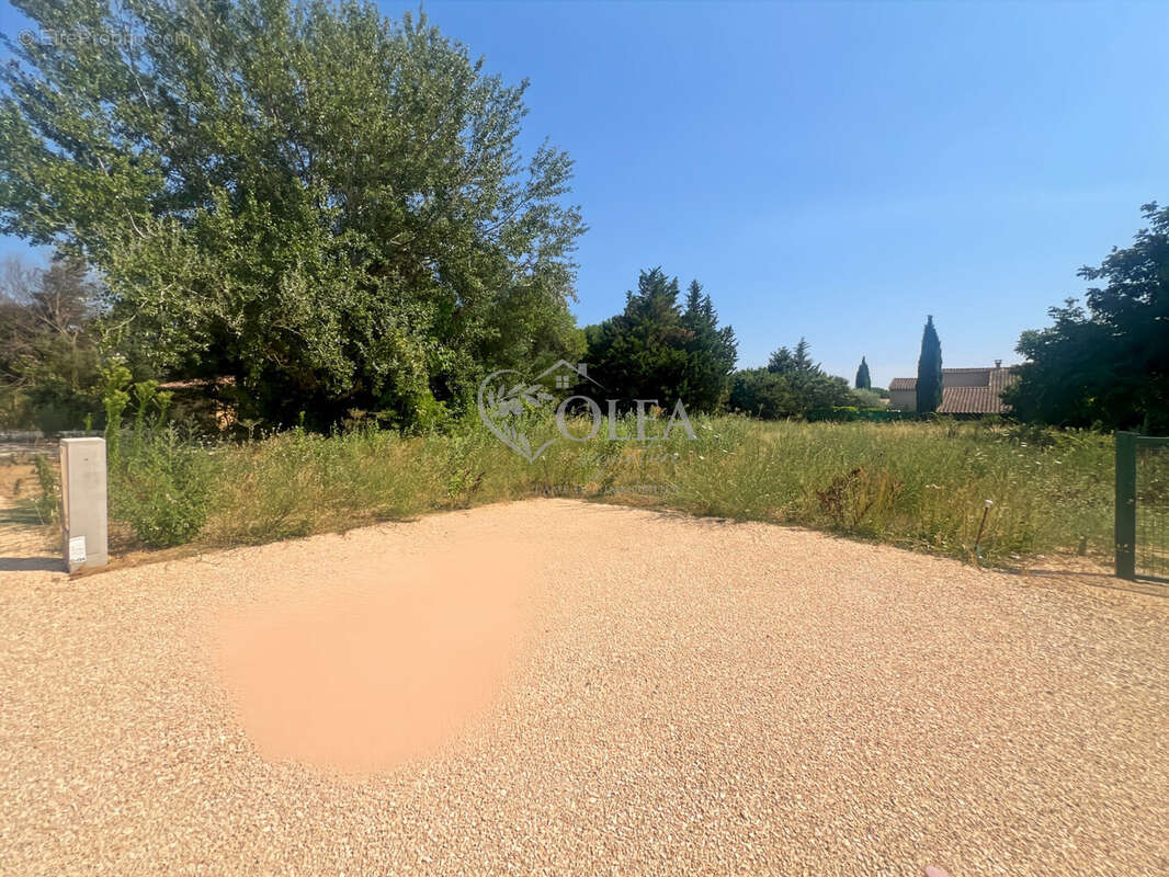 Entrée terrain