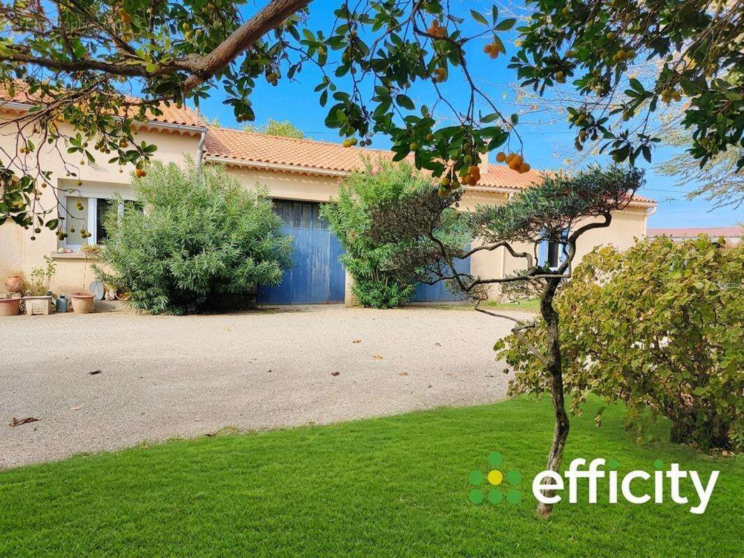 Maison à PERNES-LES-FONTAINES