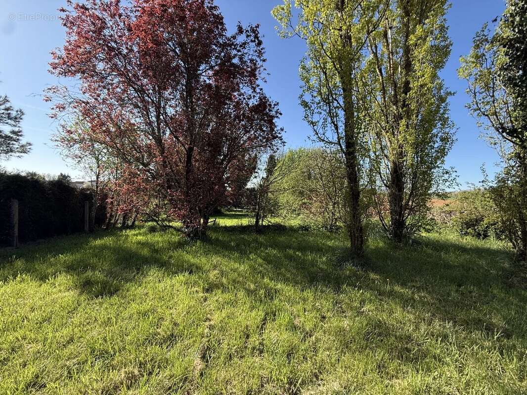 Maison à SAINT-MARTIN-DU-CLOCHER