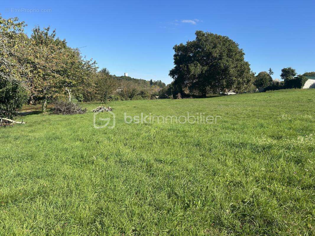 Terrain à CERCOUX