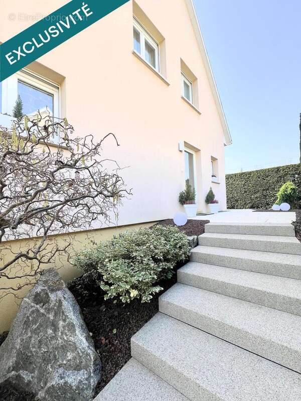 Photo 3 - Maison à HOCHSTATT