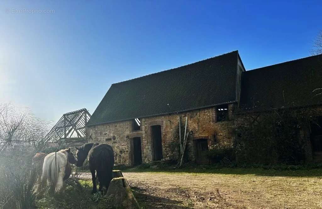 Maison à MORTAGNE-AU-PERCHE