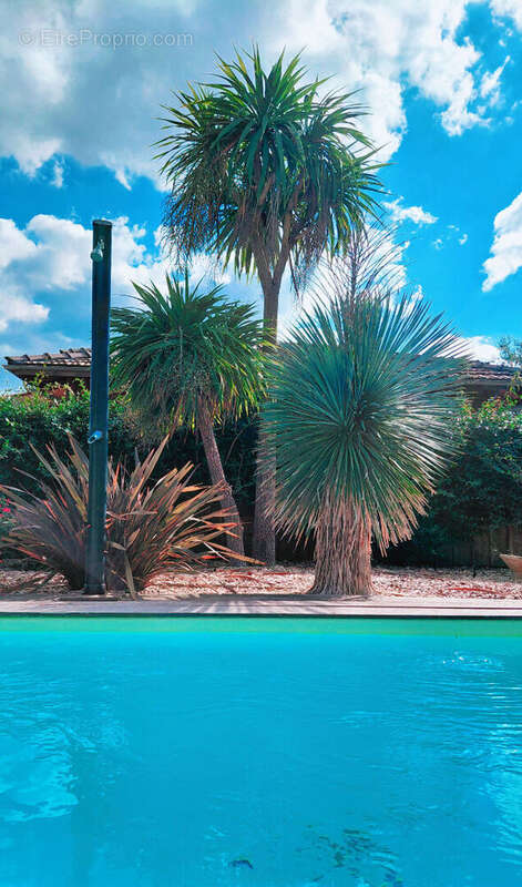 Maison à LEGE-CAP-FERRET