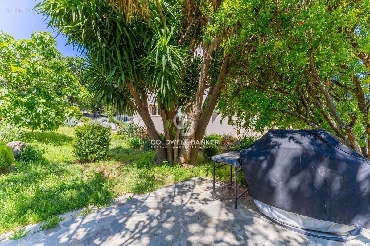 Appartement à SANTA-REPARATA-DI-BALAGNA