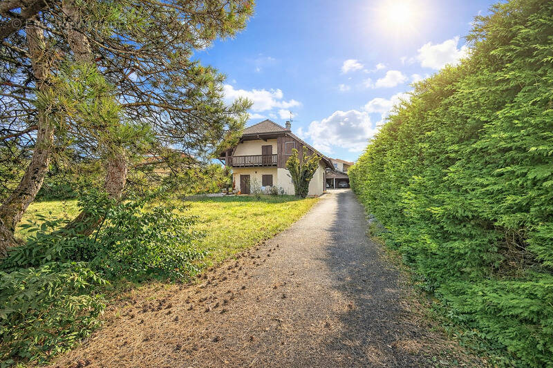 Maison à CESSY