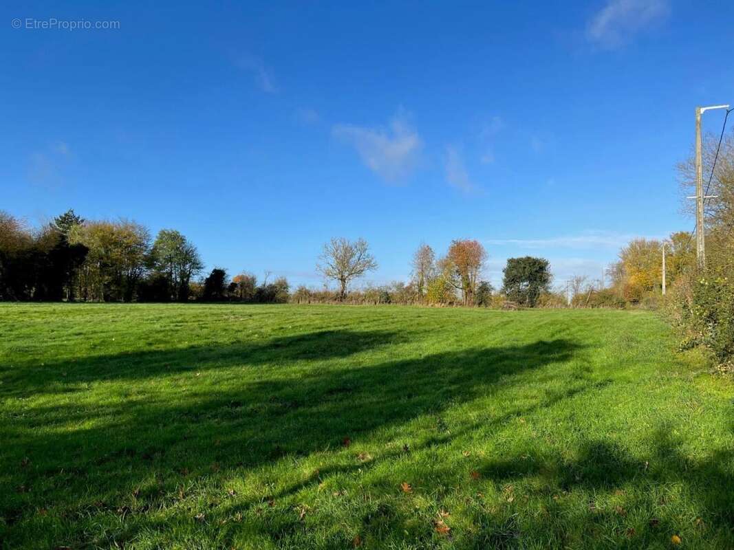 Terrain à LA TRINITE-DE-REVILLE