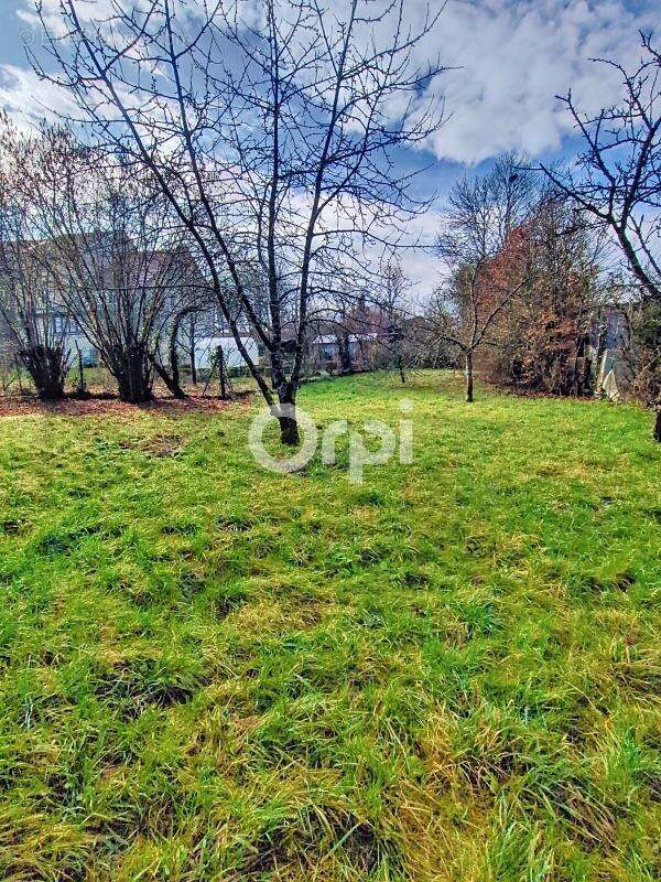 Maison à CIRFONTAINES-EN-AZOIS