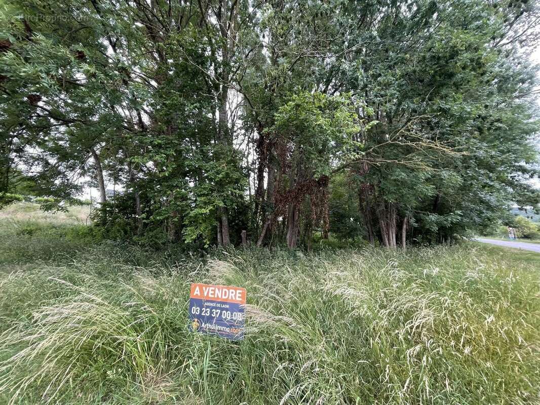 Terrain à CHAMOUILLE