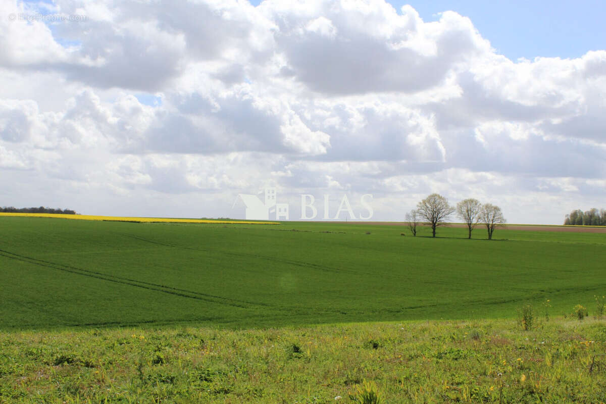 Terrain à SAINT-AUBIN-D'ECROSVILLE