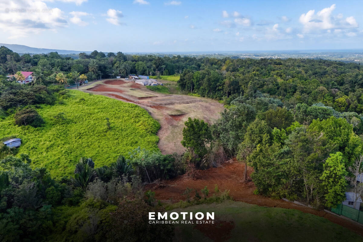 Terrain à PETIT-BOURG