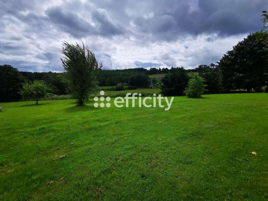 Maison en pierres - photo 27