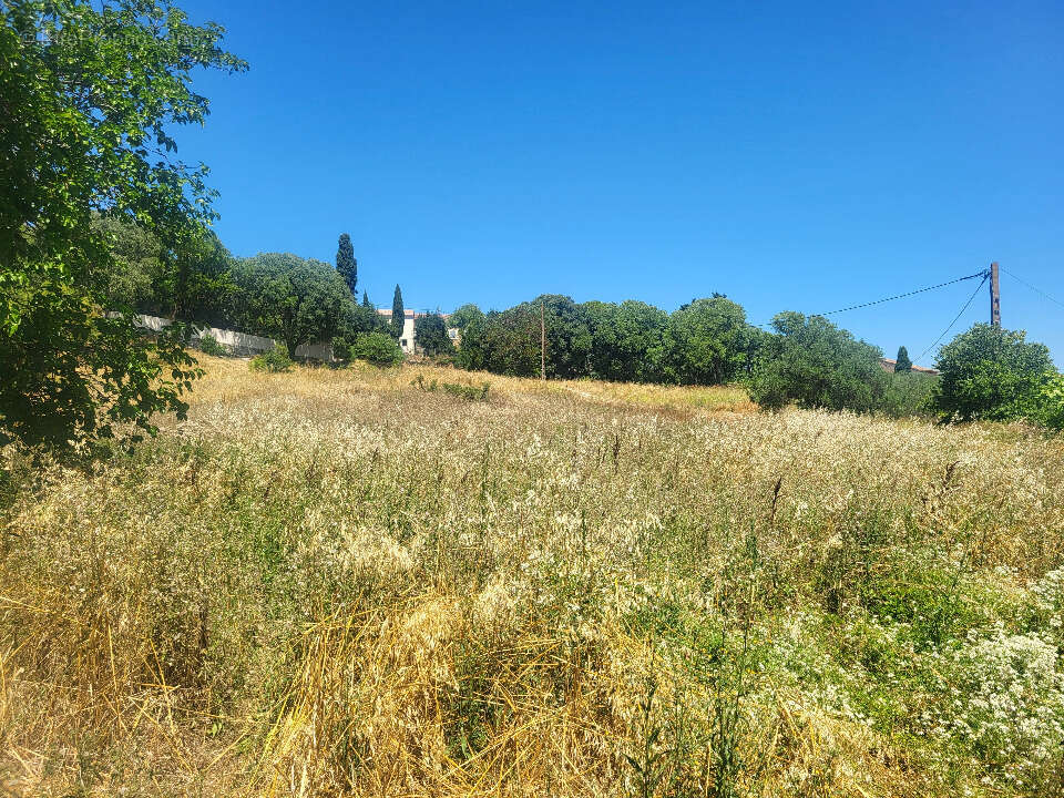 Terrain à SAUZET