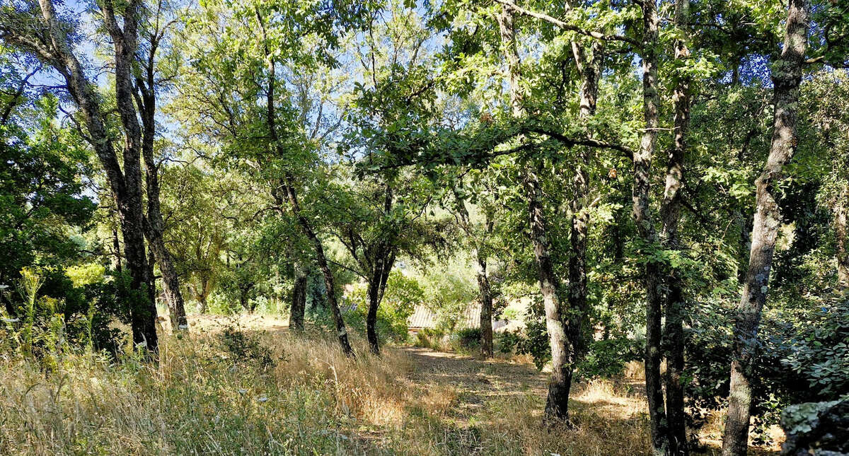 Maison à BAGNOLS-EN-FORET