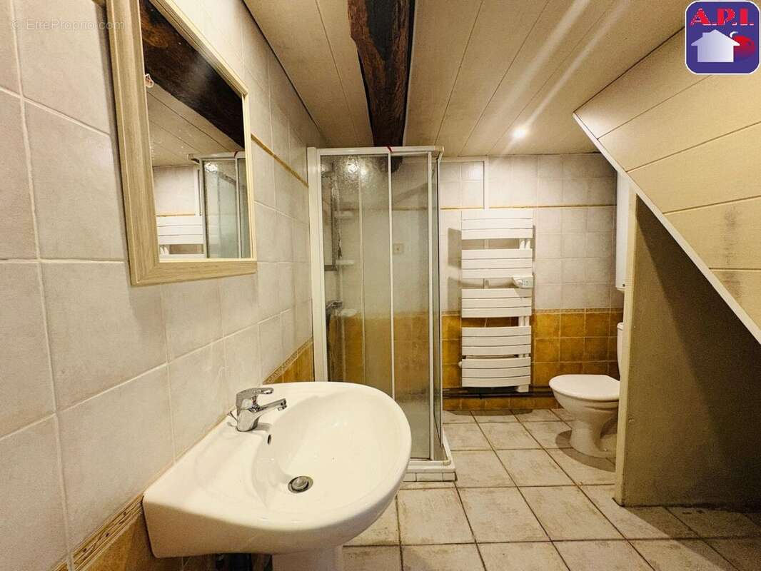 Maison 169 m² à Le Mas-D'azil  - photo 3