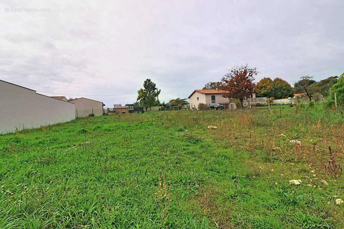 Terrain à SAINTE-SOULLE