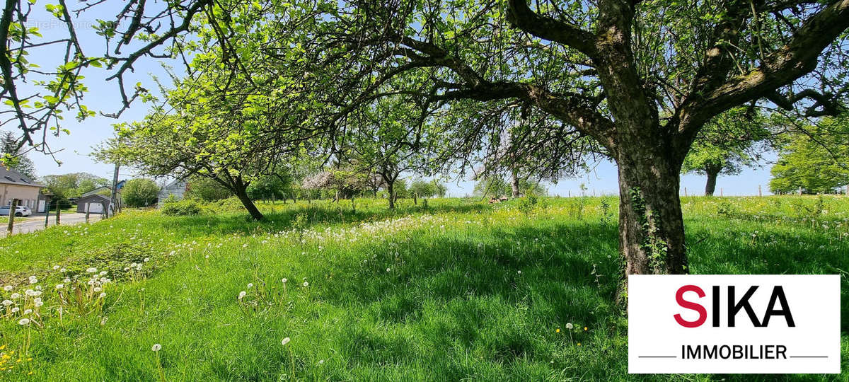 Terrain à SAINT-JEAN-KOURTZERODE