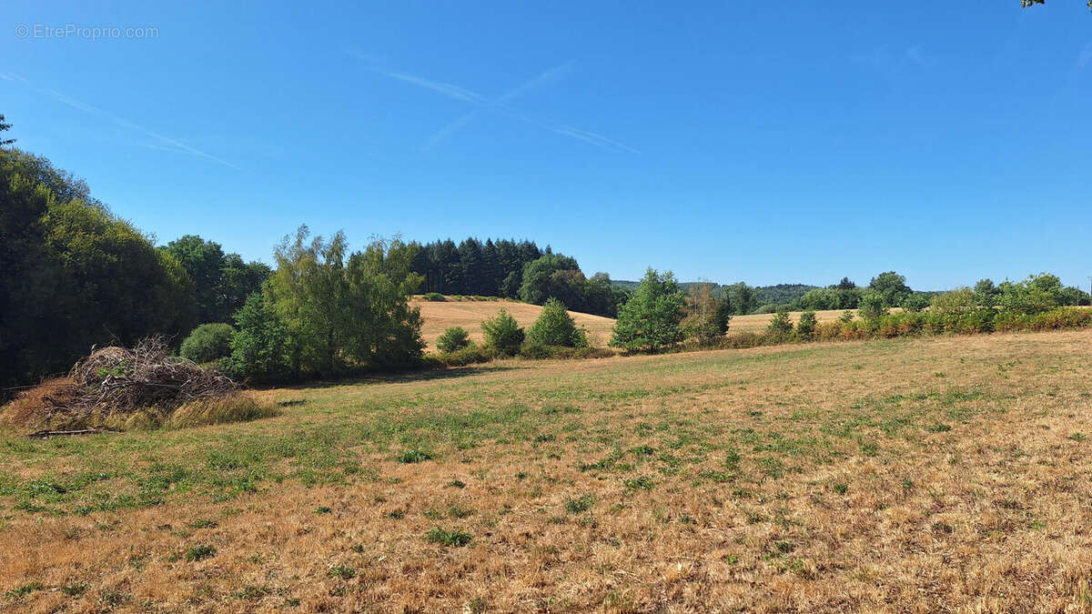 Plain-pied de 2011 - photo 4