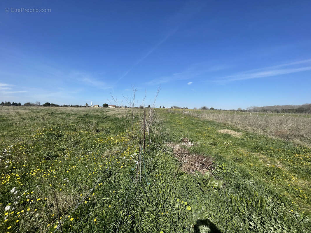 Terrain à NIMES