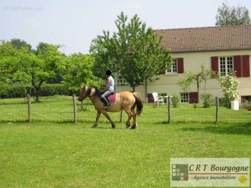 Maison à MOULINS-SUR-OUANNE