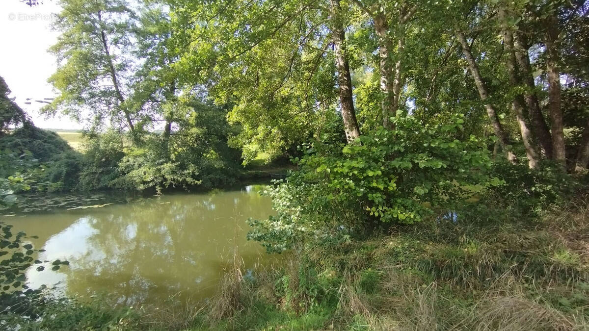 Terrain à BOUSSAY
