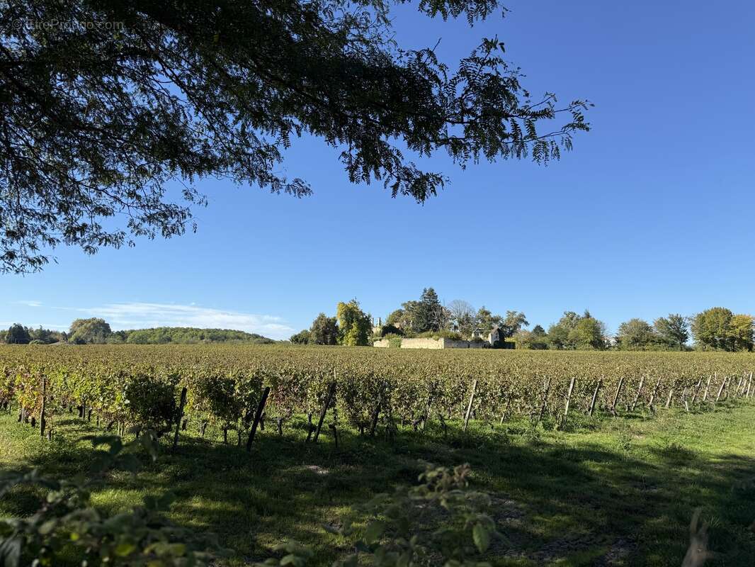 Maison Neuve T4 - Leognan - photo 7