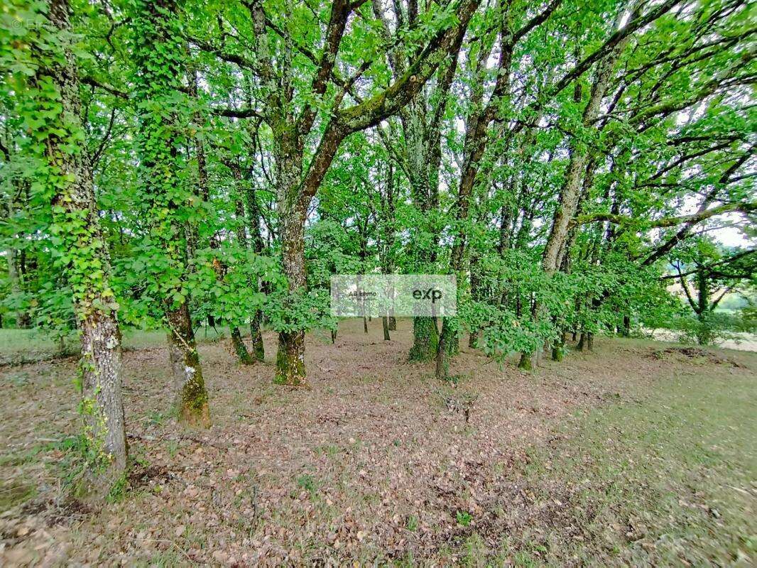 Maison à CASTELNAU-MONTRATIER